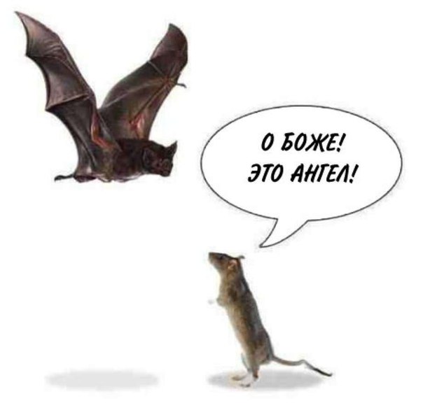 Греховная ситуация