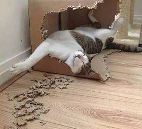 Очевидное, но невероятное