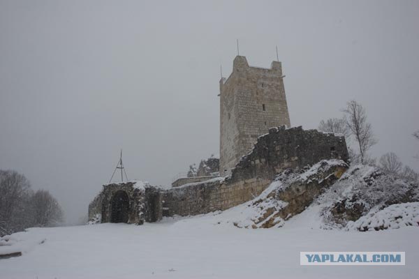 Абхазия зимой