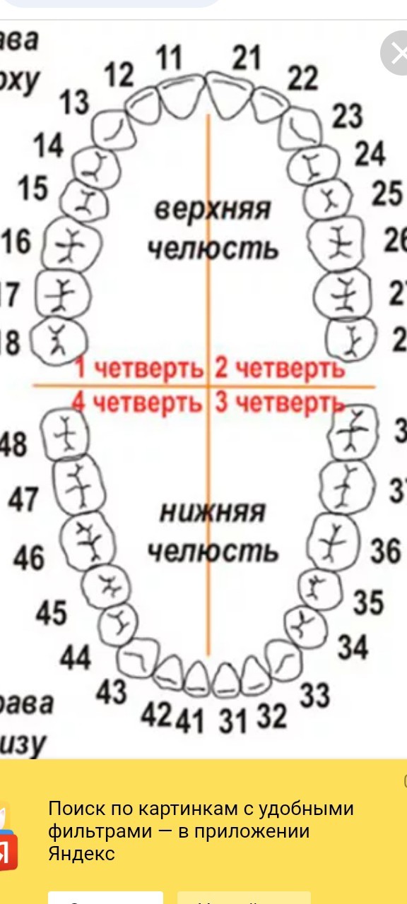 Выборы наши, а цирк европейский