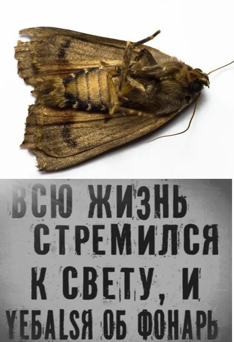Винтажное барахло (Бояны)
