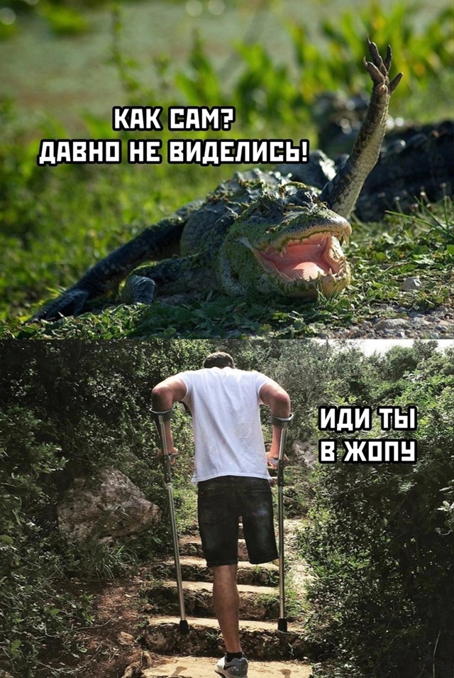 Тренируемся деградировать к летнему сезону!