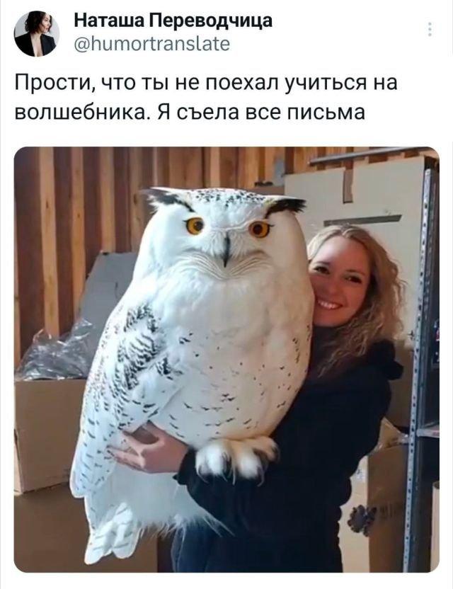 Так себе картинки 24.10.24