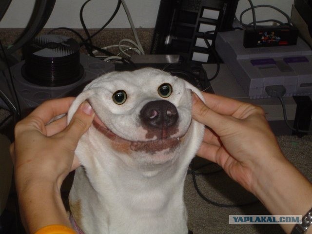 Приве-е-е-е-т !