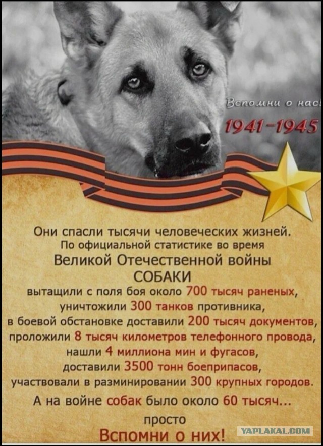 Дроны Великой Отечественной