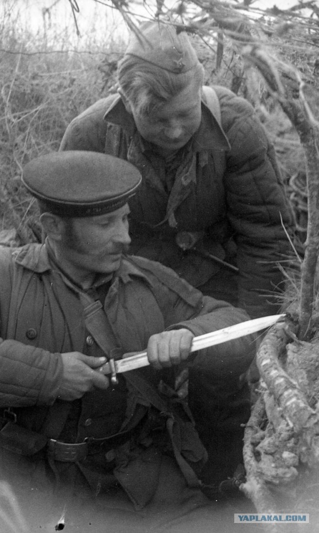 Великая Отечественная в фотографиях-10