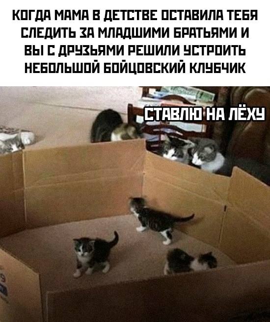 Суббота. Боянчики. Деградация. Красота