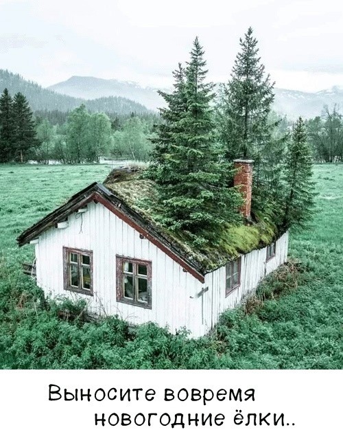 Понедельника картинки