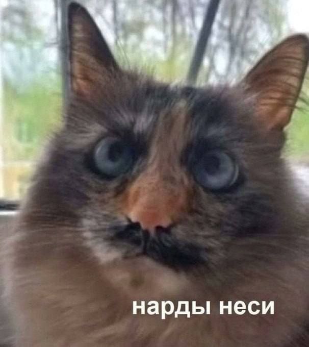 Барбершоп по-армянски