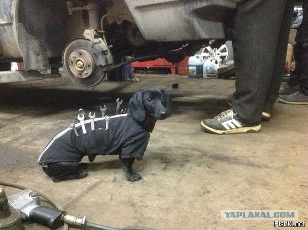 «Дяденька, я знаю, что у вас сломалось!»