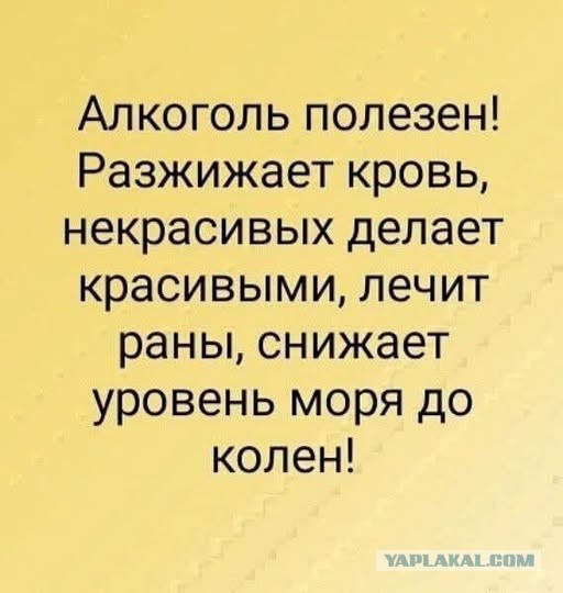 Картинки для деградации 239 (разной степени свежести)
