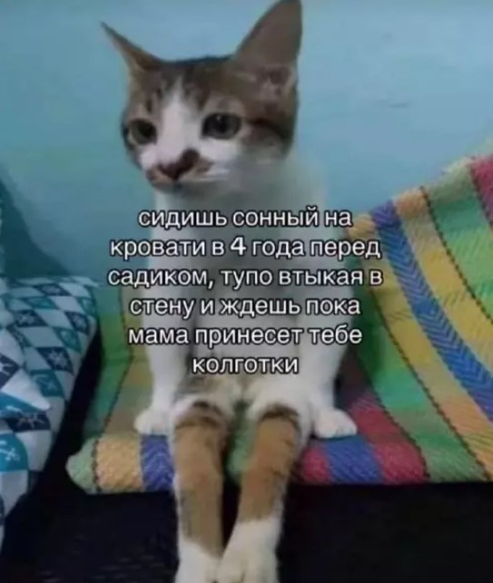 Картинки для деградации 255 (разной степени свежести)
