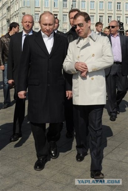 Медведев и очки