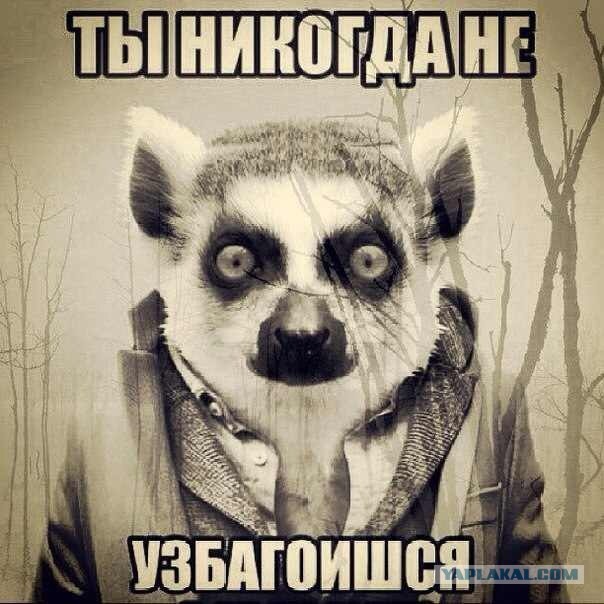 Майдан 2013, Киев