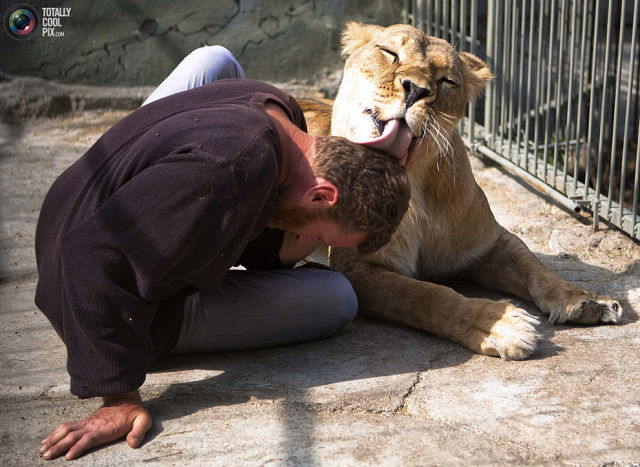 Подборка забавных и курьезных фотографий