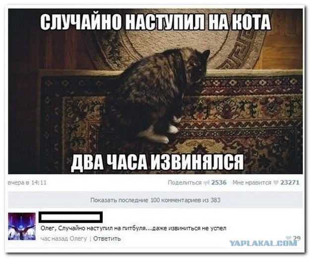 Позитивные картинки и комментарии.