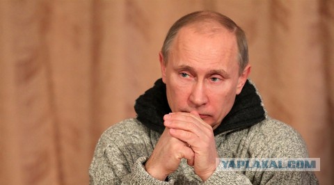 Путин отметит День Рождения в сибирской тайге