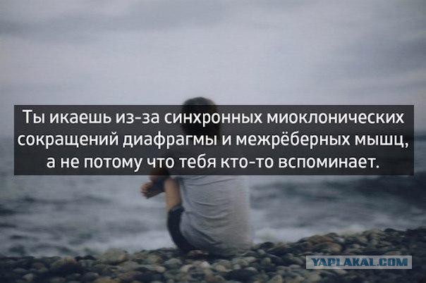 Смешные картинки