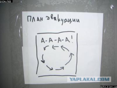 Забавные картинки из интернетов