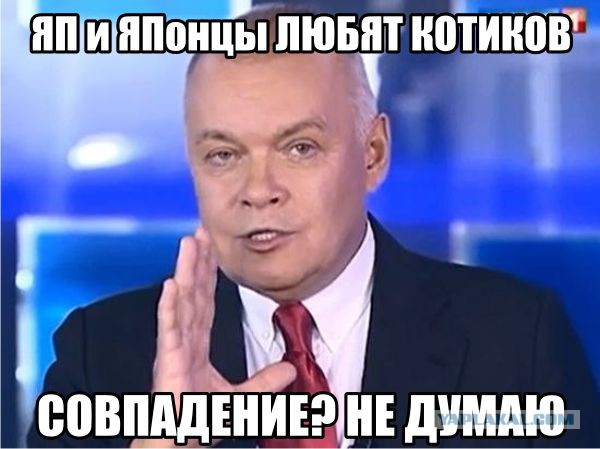 Почему на 15 японцев по статистике сотня котэ.