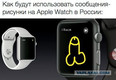 Забавные картинки из сети