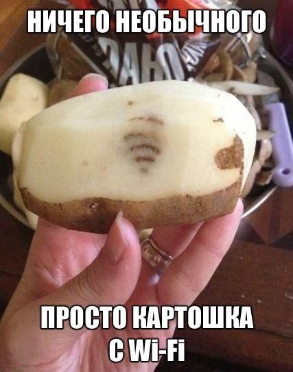 Очередная порция картинок