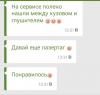 Самый ожидаемый день для Жыпера