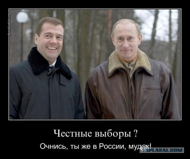 Урна раздора. Нарушения на выборах 2011