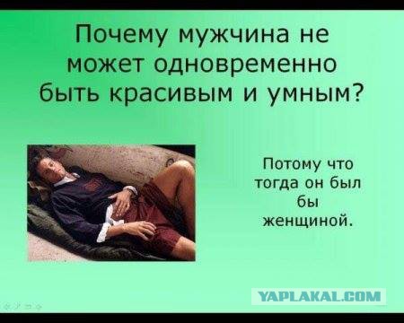 Прикольные фото и картинки