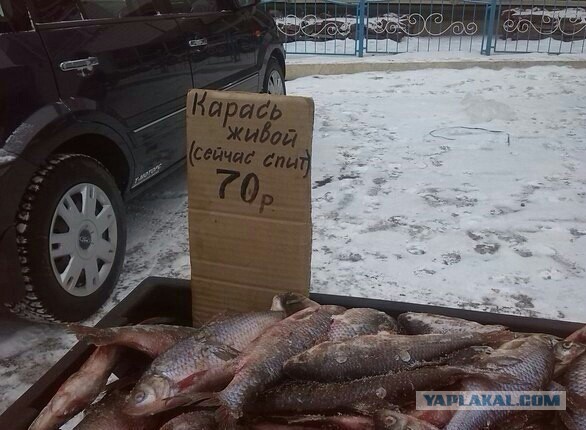Картинки. Из тырнета