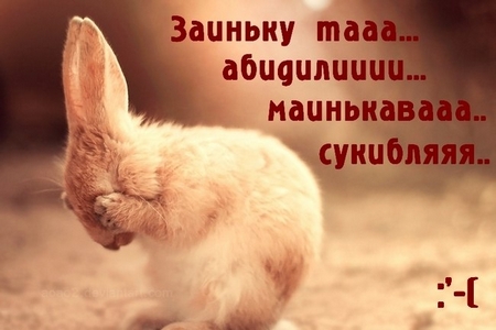Разговор продолжается