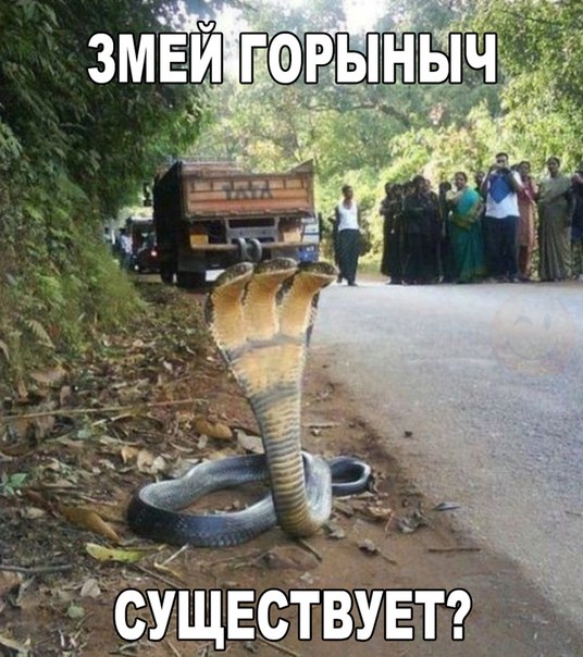А давайте улыбнёмся