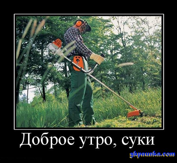 Снегири прилетели!