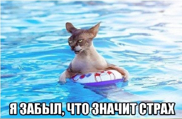 Немного картинок