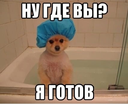 Веселые картинки