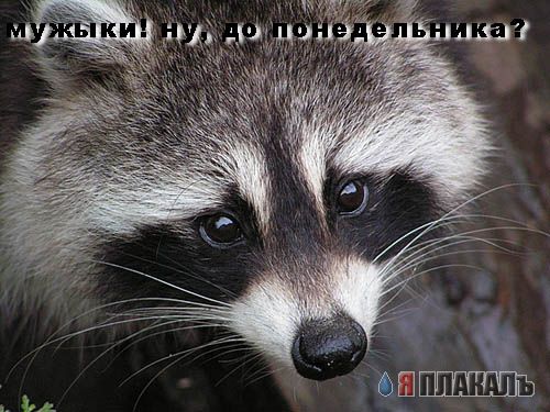 Уже да :) Ужо пятнецца...