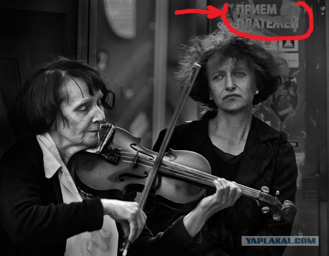 Созвучие. Соцветие. Совпадение.