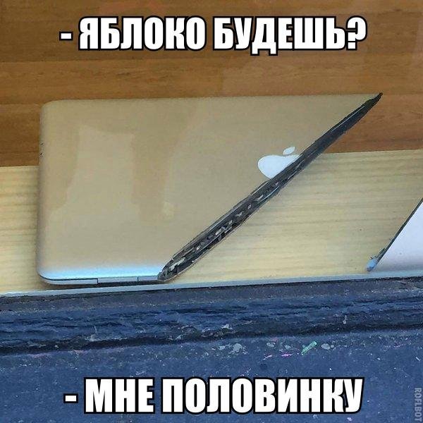 Забавные картинки из Сети