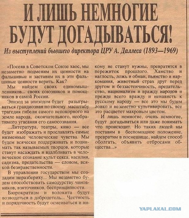 В Кузбассе спасённого волонтерами пса съели на обед новые хозяева