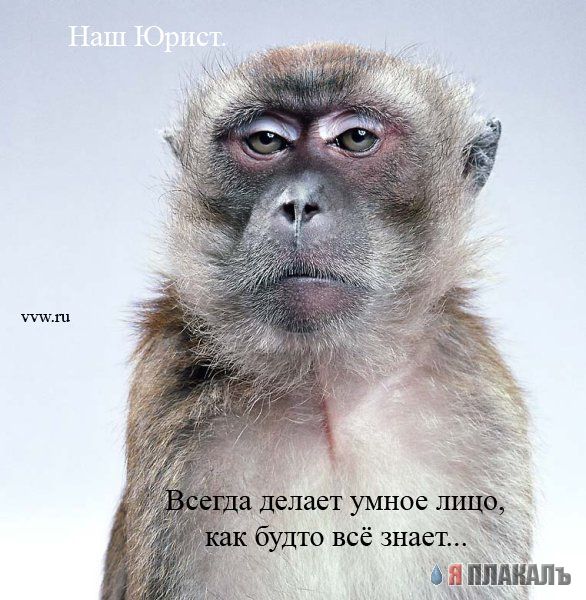 Офис в лицах (15 фото)