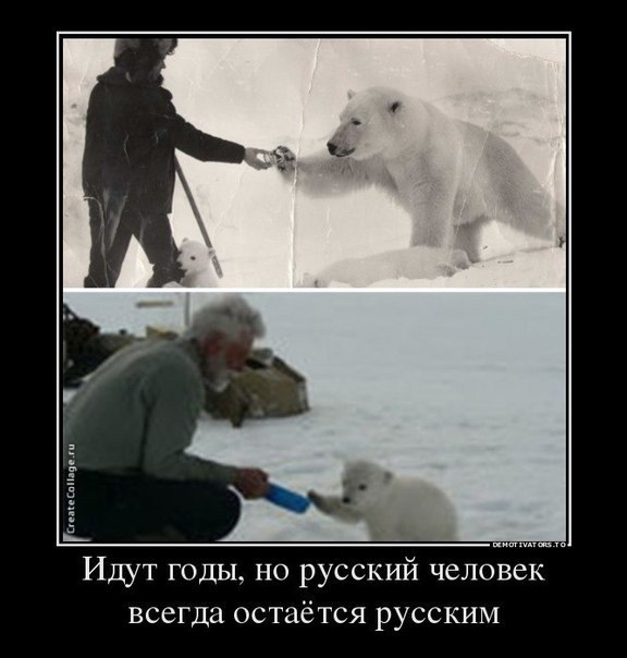 Подборка картинок