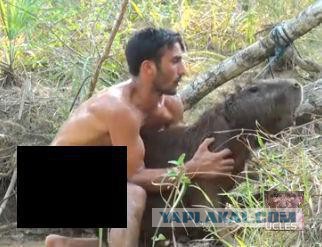 Затиранил все что шевелится