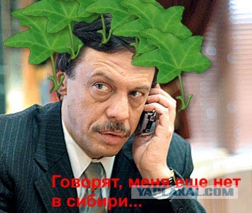 Растения - вооружены и особо опасны