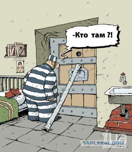 Подборка интересных и веселых картинок