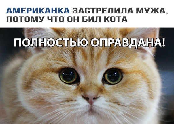 Не очень адекватный юмор