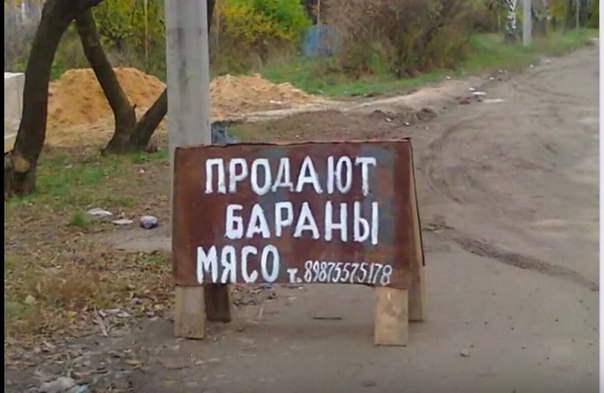 Смешные объявления, надписи и вывески