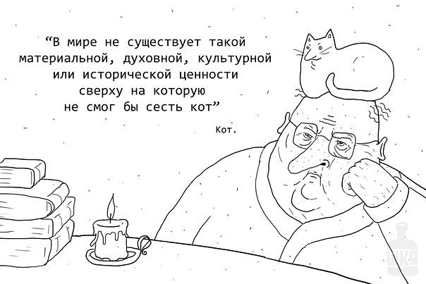 Странная кошачья логика, которую человеку никогда не постичь