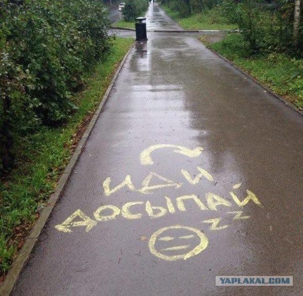 «Бродячие» философы: 17 глубокомысленных заметок в транспорте и на улицах