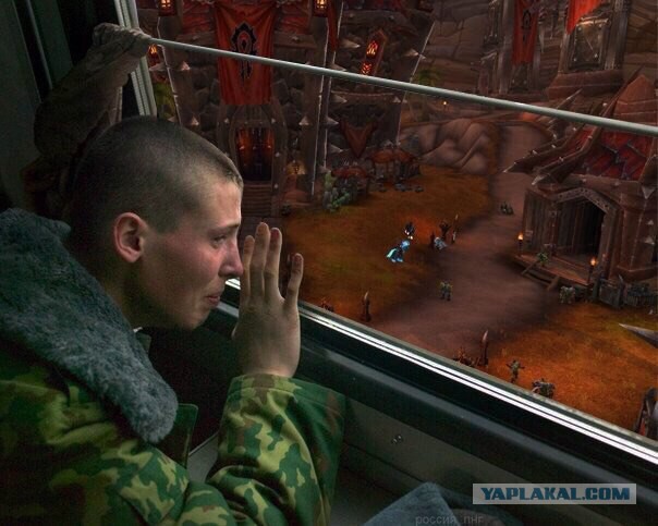 Красноярский депутат перепутал компьютерные игры. Он хочет запретить Warcraft, а не Minecraft