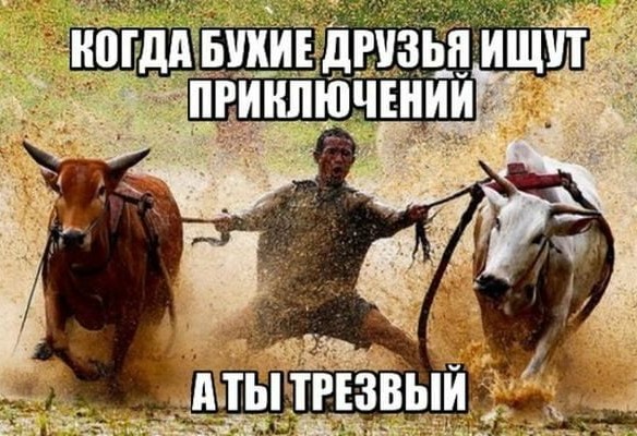 Набор разных картинок 17/10